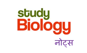 Notes On Biology