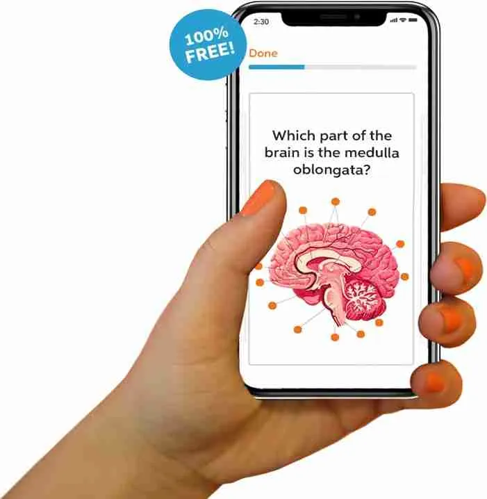 Online Flashcards 2 11zon