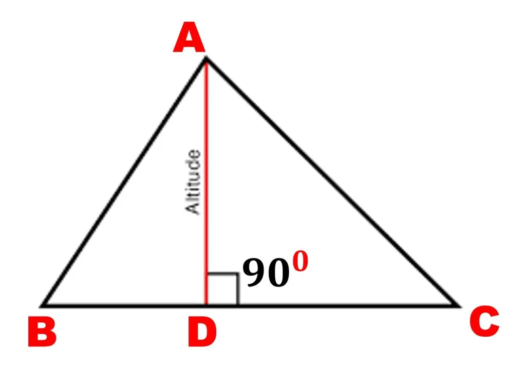 Triangle Properties 